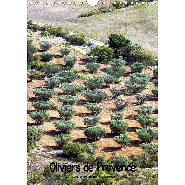 Oliviers de Provence (Calendrier mural 2021 DIN A4 vertical), N N