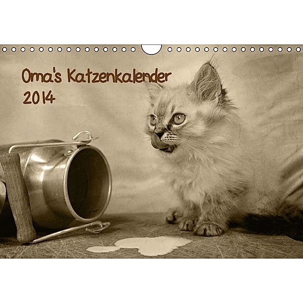 Oma's Katzenkalender 2014 (Wandkalender 2014 DIN A4 quer), Sylvia Säume