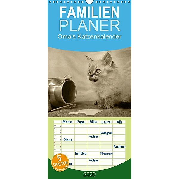 Oma's Katzenkalender 2020 - Familienplaner hoch (Wandkalender 2020 , 21 cm x 45 cm, hoch), Sylvia Säume