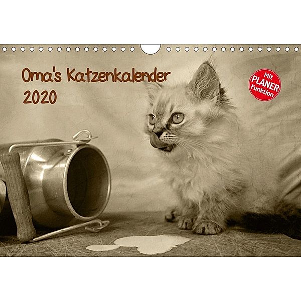 Oma's Katzenkalender 2020 (Wandkalender 2020 DIN A4 quer), Sylvia Säume