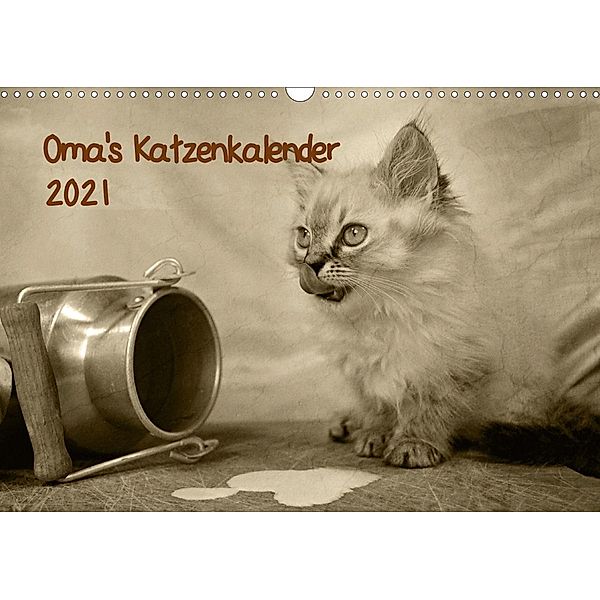 Oma's Katzenkalender 2021 (Wandkalender 2021 DIN A3 quer), Sylvia Säume