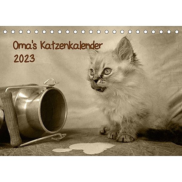 Oma's Katzenkalender 2023 (Tischkalender 2023 DIN A5 quer), Sylvia Säume