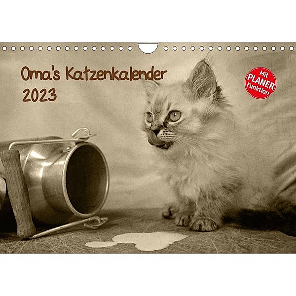 Oma's Katzenkalender 2023 (Wandkalender 2023 DIN A4 quer), Sylvia Säume