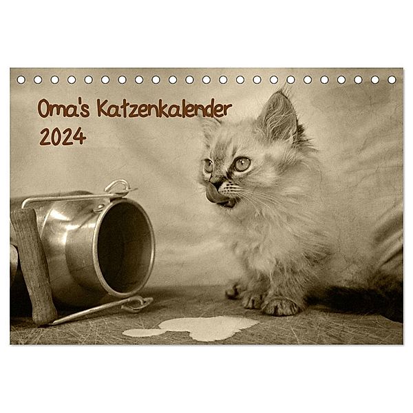 Oma's Katzenkalender 2024 (Tischkalender 2024 DIN A5 quer), CALVENDO Monatskalender, Sylvia Säume