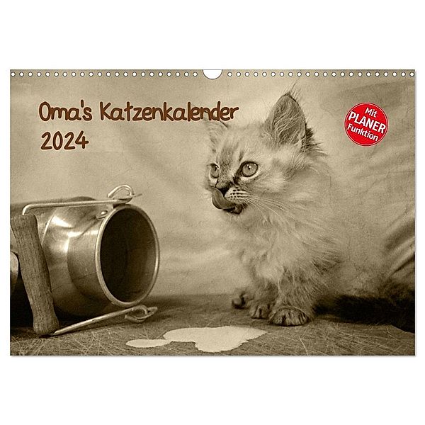 Oma's Katzenkalender 2024 (Wandkalender 2024 DIN A3 quer), CALVENDO Monatskalender, Sylvia Säume