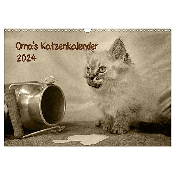 Oma's Katzenkalender 2024 (Wandkalender 2024 DIN A3 quer), CALVENDO Monatskalender, Sylvia Säume