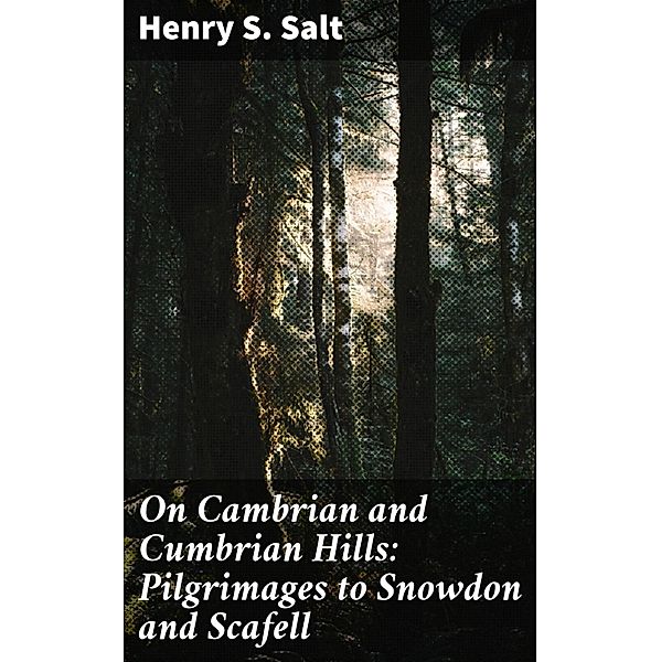 On Cambrian and Cumbrian Hills: Pilgrimages to Snowdon and Scafell, Henry S. Salt