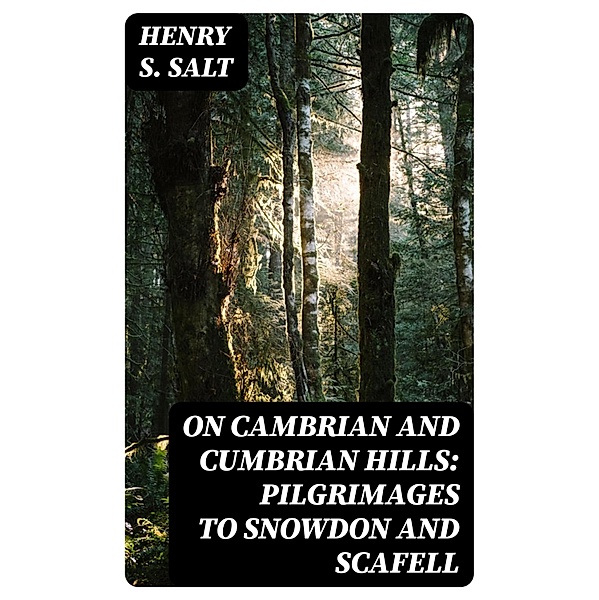 On Cambrian and Cumbrian Hills: Pilgrimages to Snowdon and Scafell, Henry S. Salt