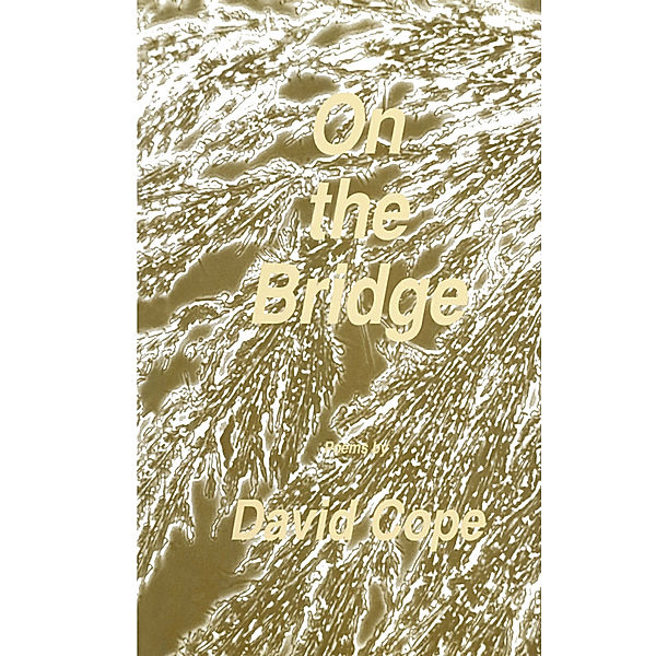 On the Bridge, David Cope