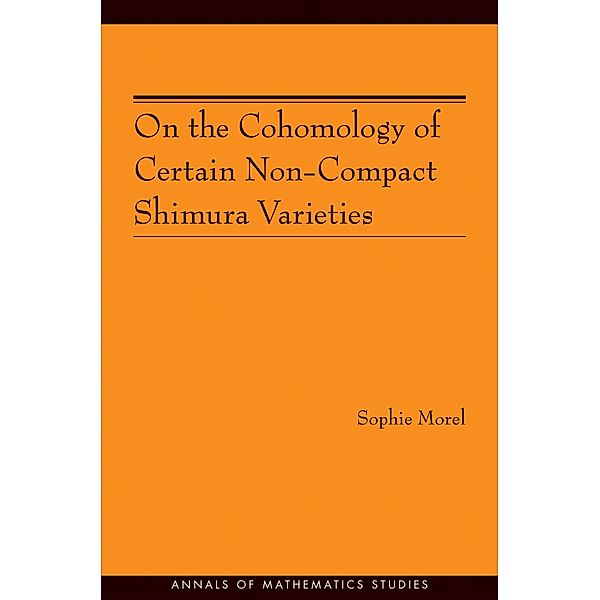On the Cohomology of Certain Non-Compact Shimura Varieties (AM-173) / Annals of Mathematics Studies, Sophie Morel