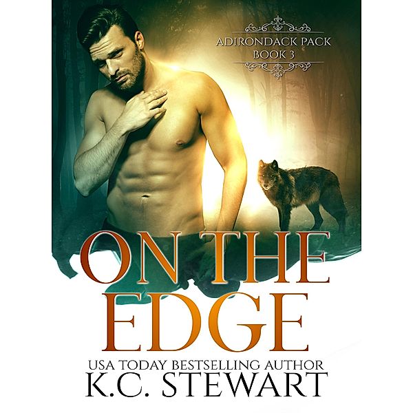 On the Edge (Adirondack Pack, #6) / Adirondack Pack, K. C. Stewart