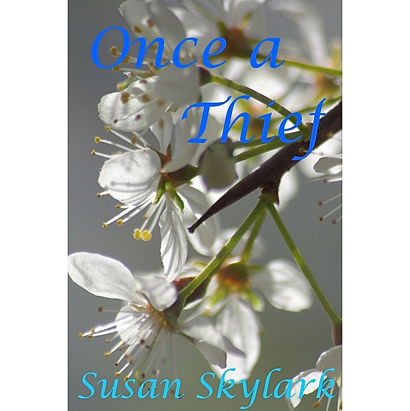 Once a Thief / Susan Skylark, Susan Skylark