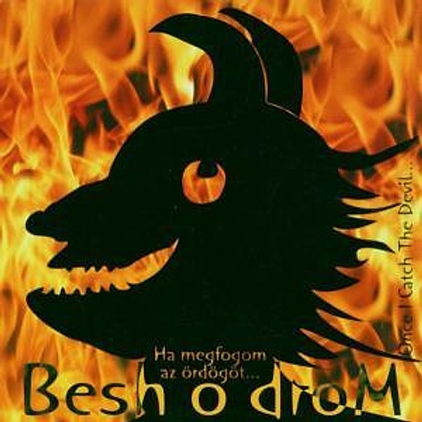 Once I Catch The Devil, Besh o Drom