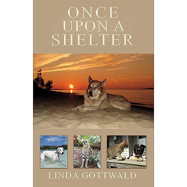 Once Upon a Shelter, Linda Gottwald