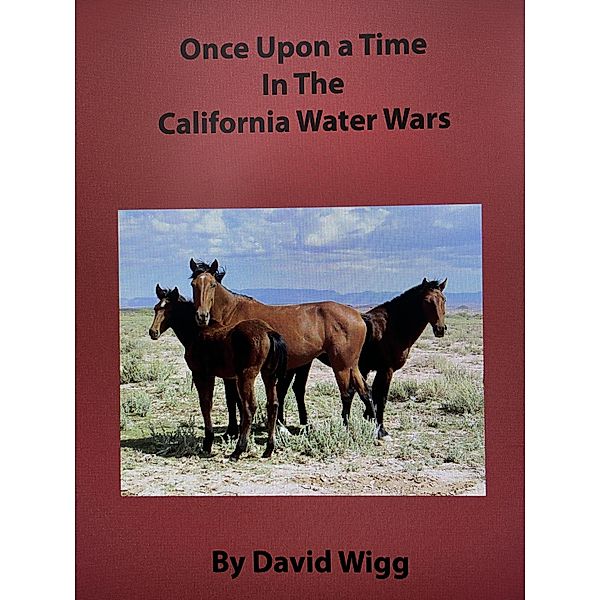 Once Upon A Time In the California Water Wars, David Wigg