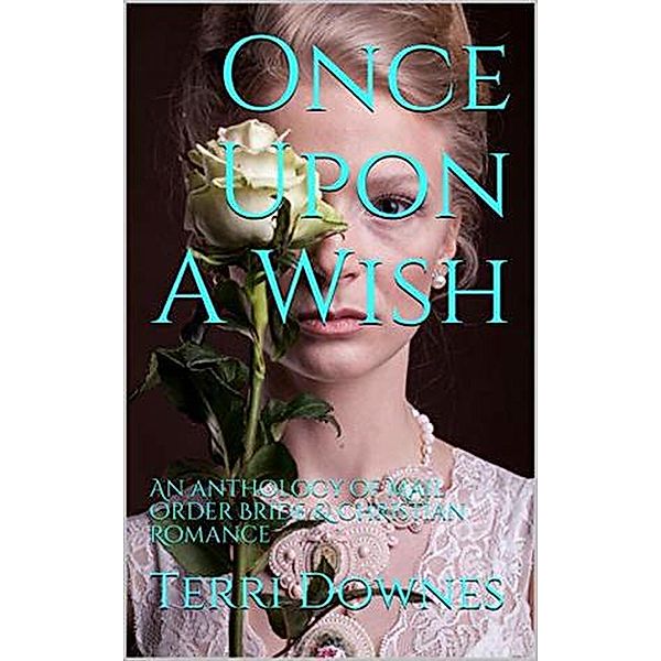 Once Upon A Wish, Terri Downes
