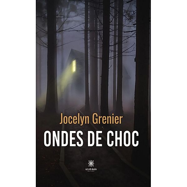 Ondes de choc, Jocelyn Grenier