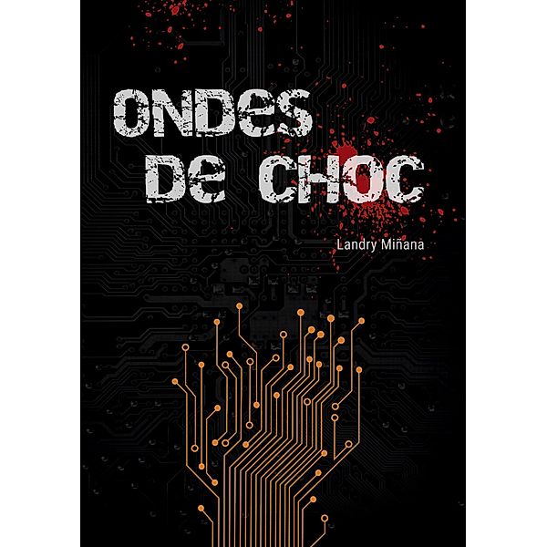 Ondes de choc, Landry Miñana