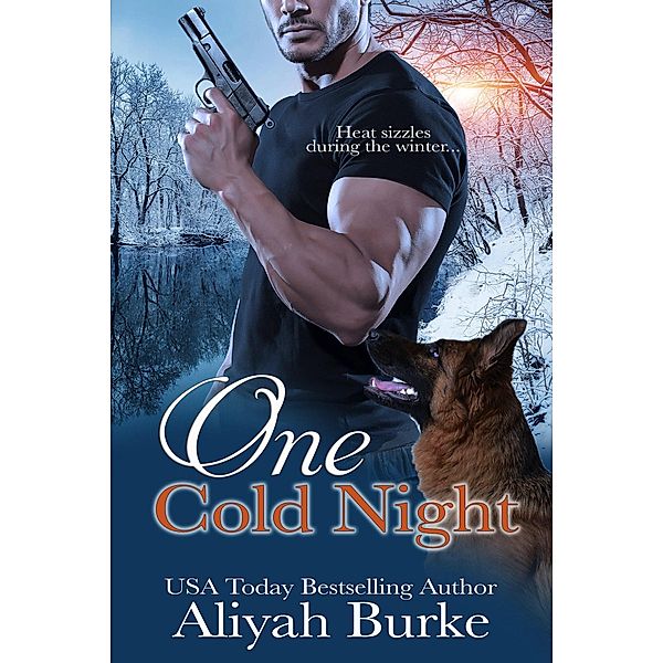 One Cold Night (Prince Brothers, #1) / Prince Brothers, Aliyah Burke