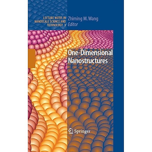 One-Dimensional Nanostructures / Lecture Notes in Nanoscale Science and Technology Bd.3