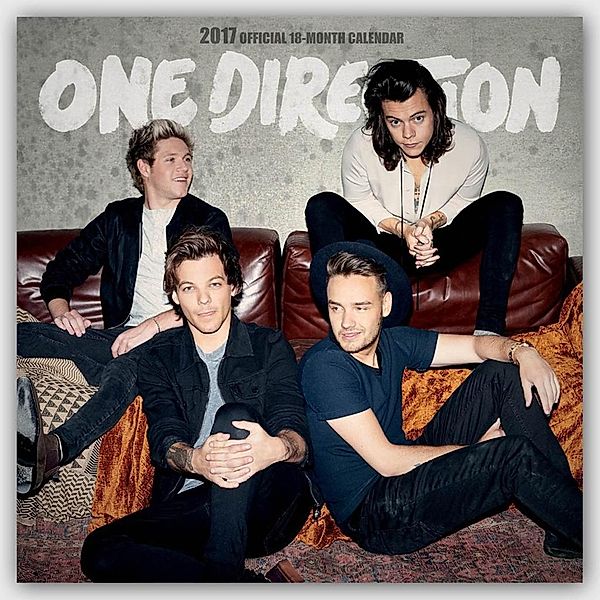 One Direction 2017, One Direction