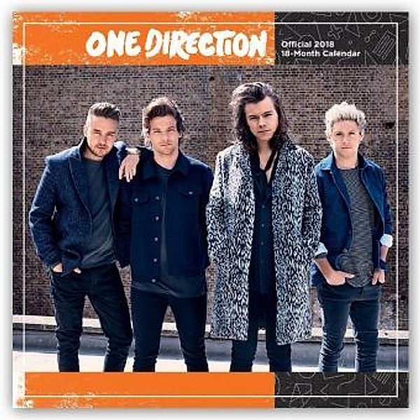 One Direction 2018, Danilo Verlag