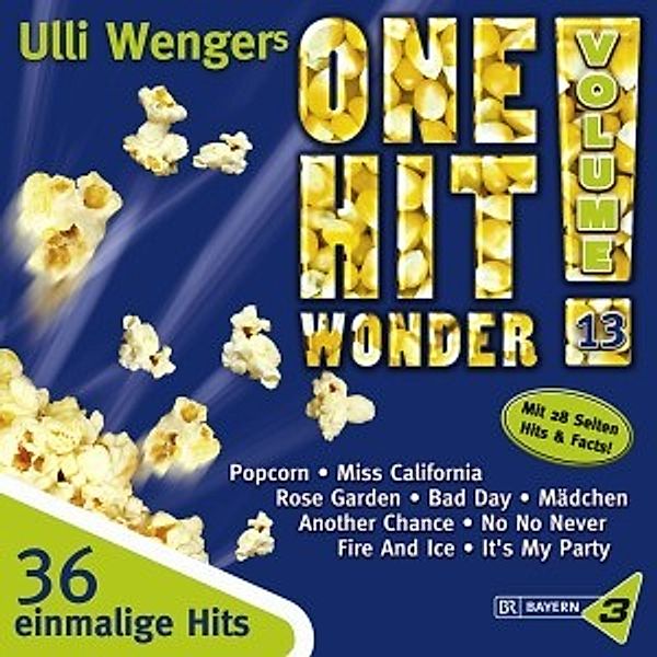 One Hit Wonder Vol.13, Various