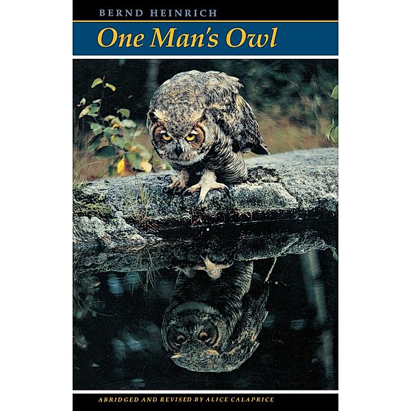 One Man's Owl, Bernd Heinrich