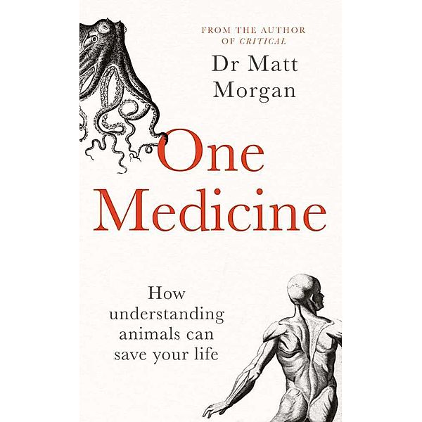 One Medicine, Matt Morgan