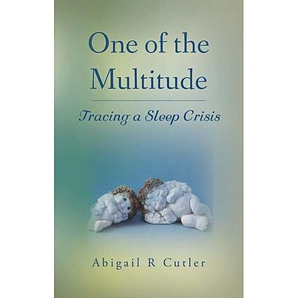 One of the Multitude / Palmetto Publishing, Abigail R. Cutler