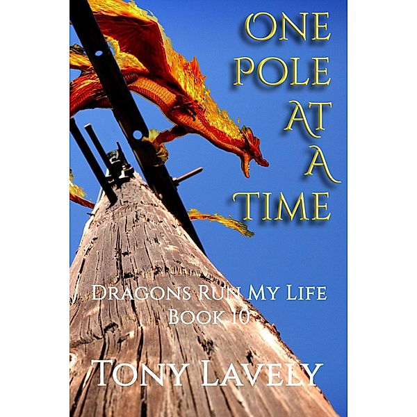 One Pole At A Time (Dragons Run My Life, #10) / Dragons Run My Life, Tony Lavely