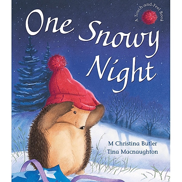 One Snowy Night / Little Tiger Press, M Christina Butler