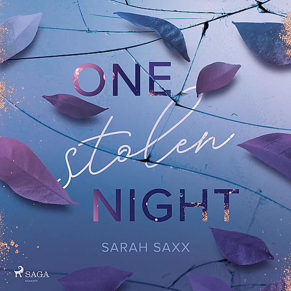 One Stolen Night, Sarah Saxx