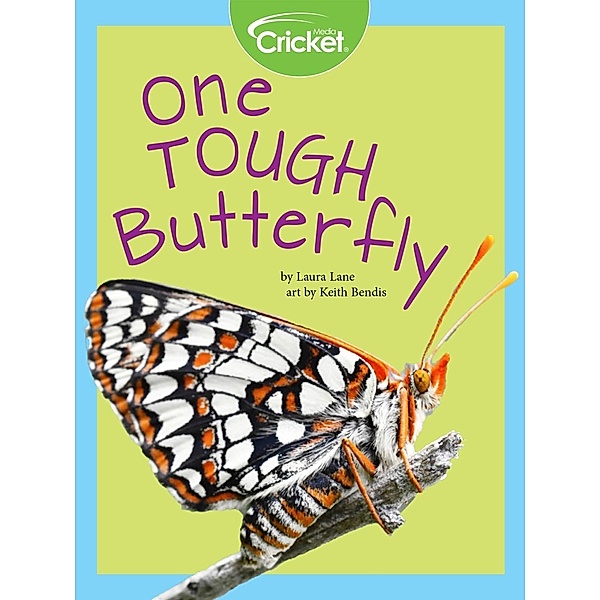 One Tough Butterfly, Laura Lane