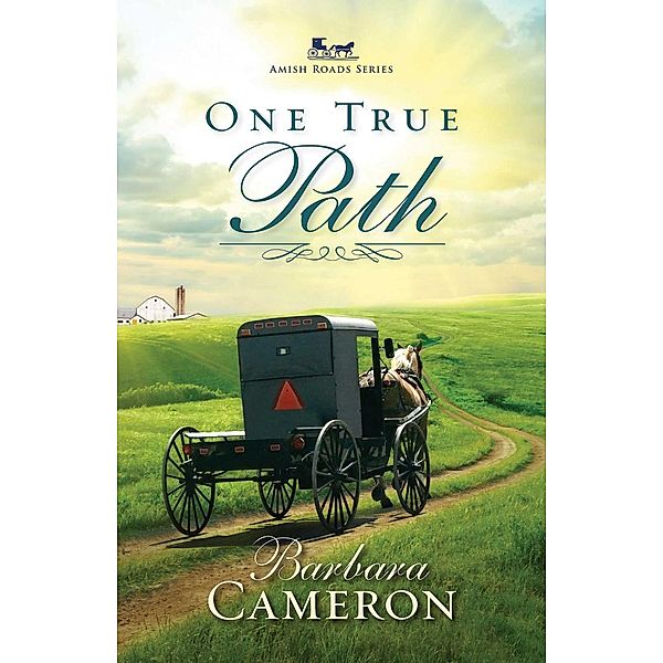 One True Path / Abingdon Fiction, Barbara Cameron