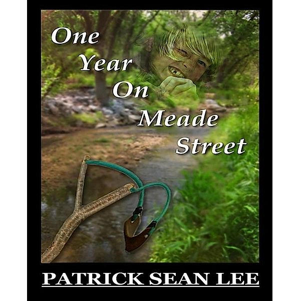 One Year On Meade Street, Patrick Sean Lee