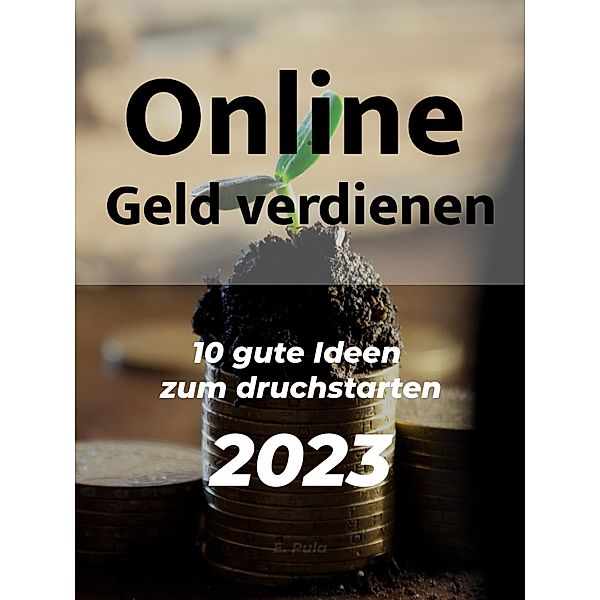 Online geld verdienen - 10 praktische Ideen, Enis Pula