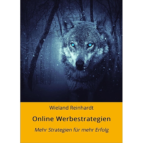Online Werbestrategien / Online Marketing Bd.1, Wieland Reinhardt