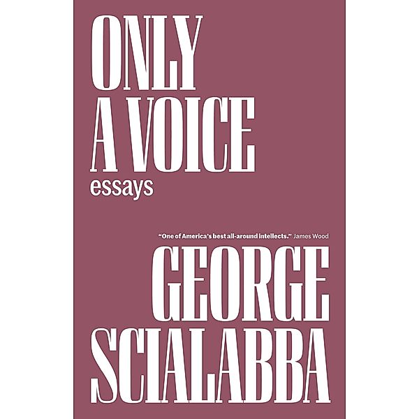 Only a Voice, George Scialabba