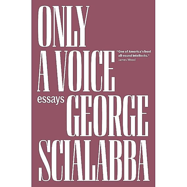 Only a Voice, George Scialabba