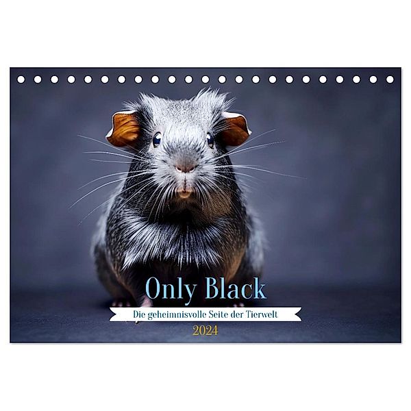 Only Black (Tischkalender 2024 DIN A5 quer), CALVENDO Monatskalender, Daniela Tapper