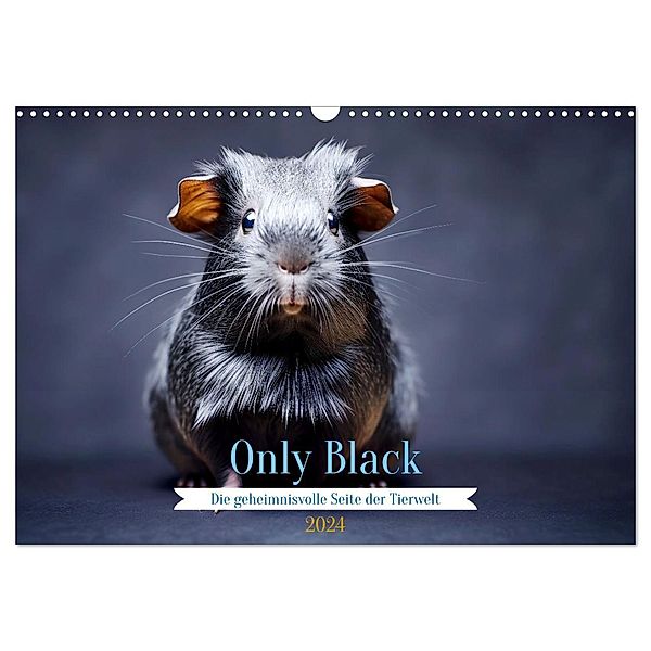 Only Black (Wandkalender 2024 DIN A3 quer), CALVENDO Monatskalender, Daniela Tapper