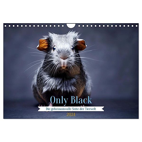 Only Black (Wandkalender 2024 DIN A4 quer), CALVENDO Monatskalender, Daniela Tapper