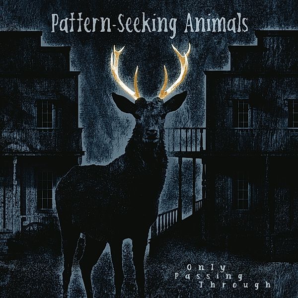 Only Passing Through, Pattern-Seeking Animals