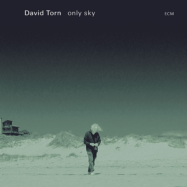 Only Sky, David Torn