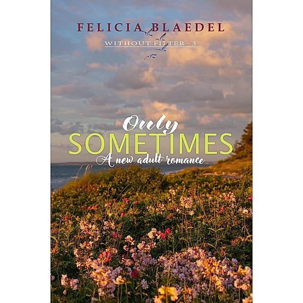 Only Sometimes (The Without Filter Series, #3) / The Without Filter Series, Felicia Blaedel