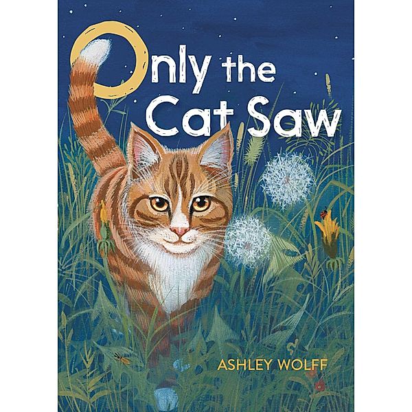 Only the Cat Saw, Ashley Wolff