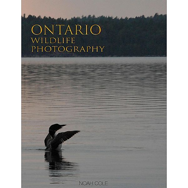 Ontario Wildlife Photography / Dundurn Press, Noah Cole