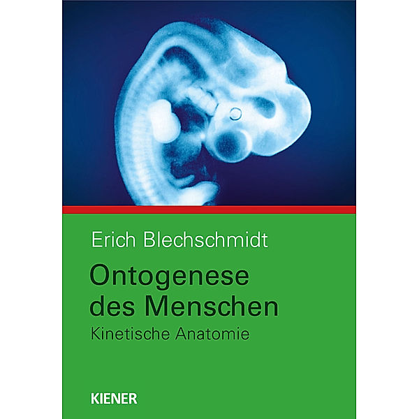 Ontogenese des Menschen, Erich Blechschmidt