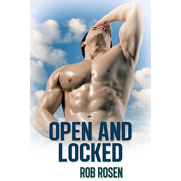 Open and Locked / JMS Books LLC, Rob Rosen